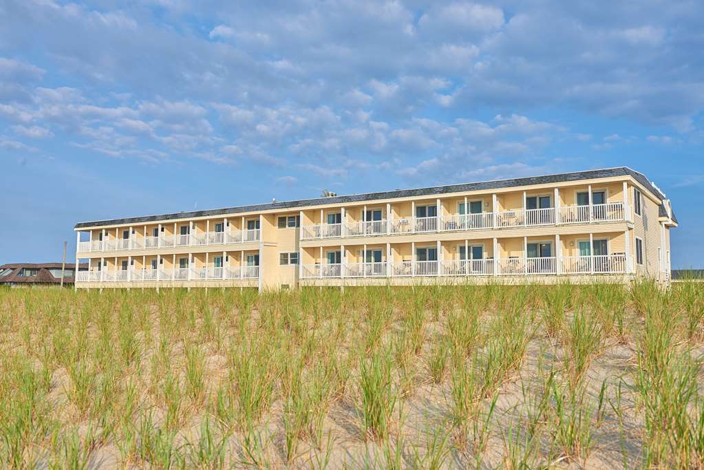 Drifting Sands Oceanfront